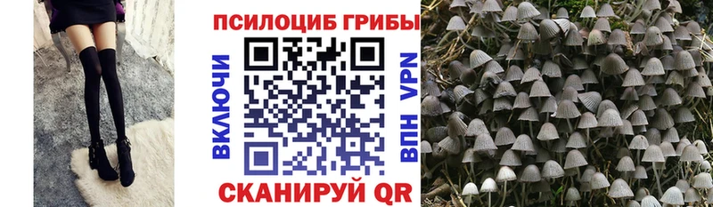 Псилоцибиновые грибы Psilocybine cubensis  купить наркотики цена  Белоярский 